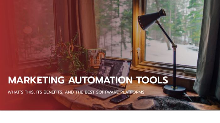 Marketing automation tools